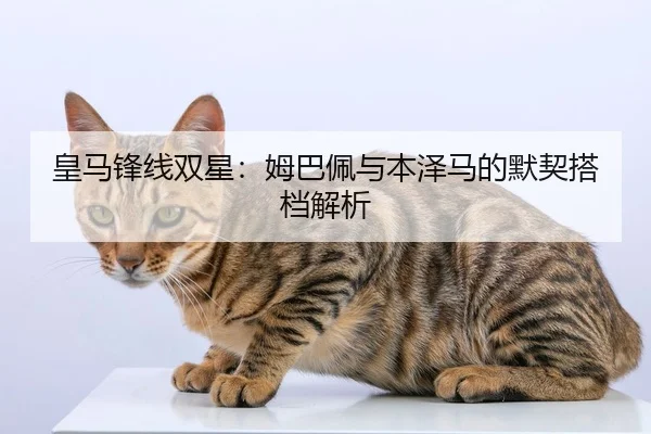 皇马锋线双星：姆巴佩与本泽马的默契搭档解析