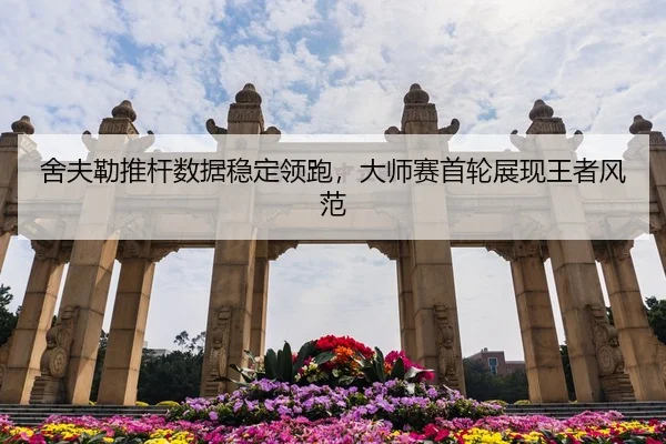 she-fu-lei-tui-gan-shu-ju-wen-ding-ling-pao-da-shi-sai-shou-lun-zhan-xian-wang-zhe-feng-fan-3-763.jpg