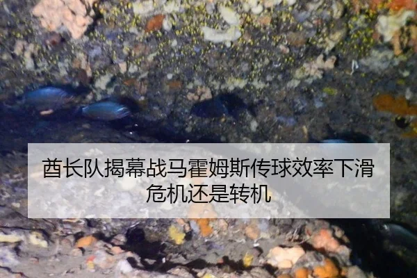酋长队揭幕战马霍姆斯传球效率下滑 危机还是转机