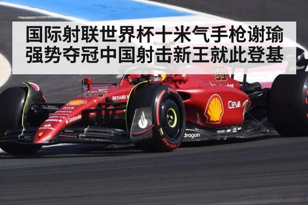 国际射联世界杯十米气手枪谢瑜强势夺冠中国射击新王就此登基
